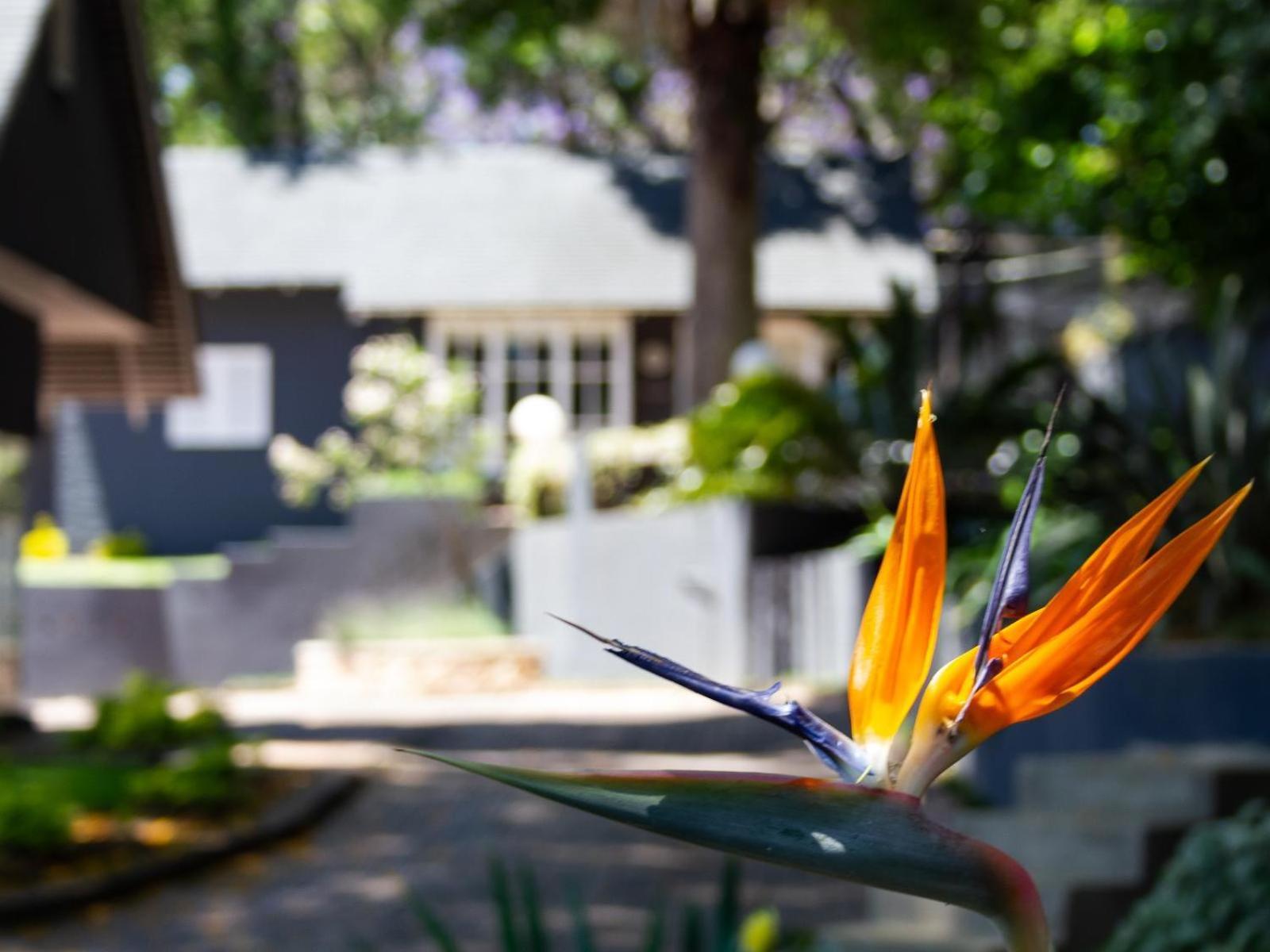 Treehouse On Maple Hotel Sandton Exterior foto